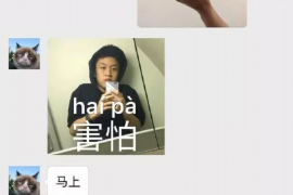 镇远专业要账公司如何查找老赖？